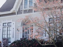 Land for Sale in DHA